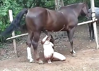 Crazy doggy style fuck with huge stallion